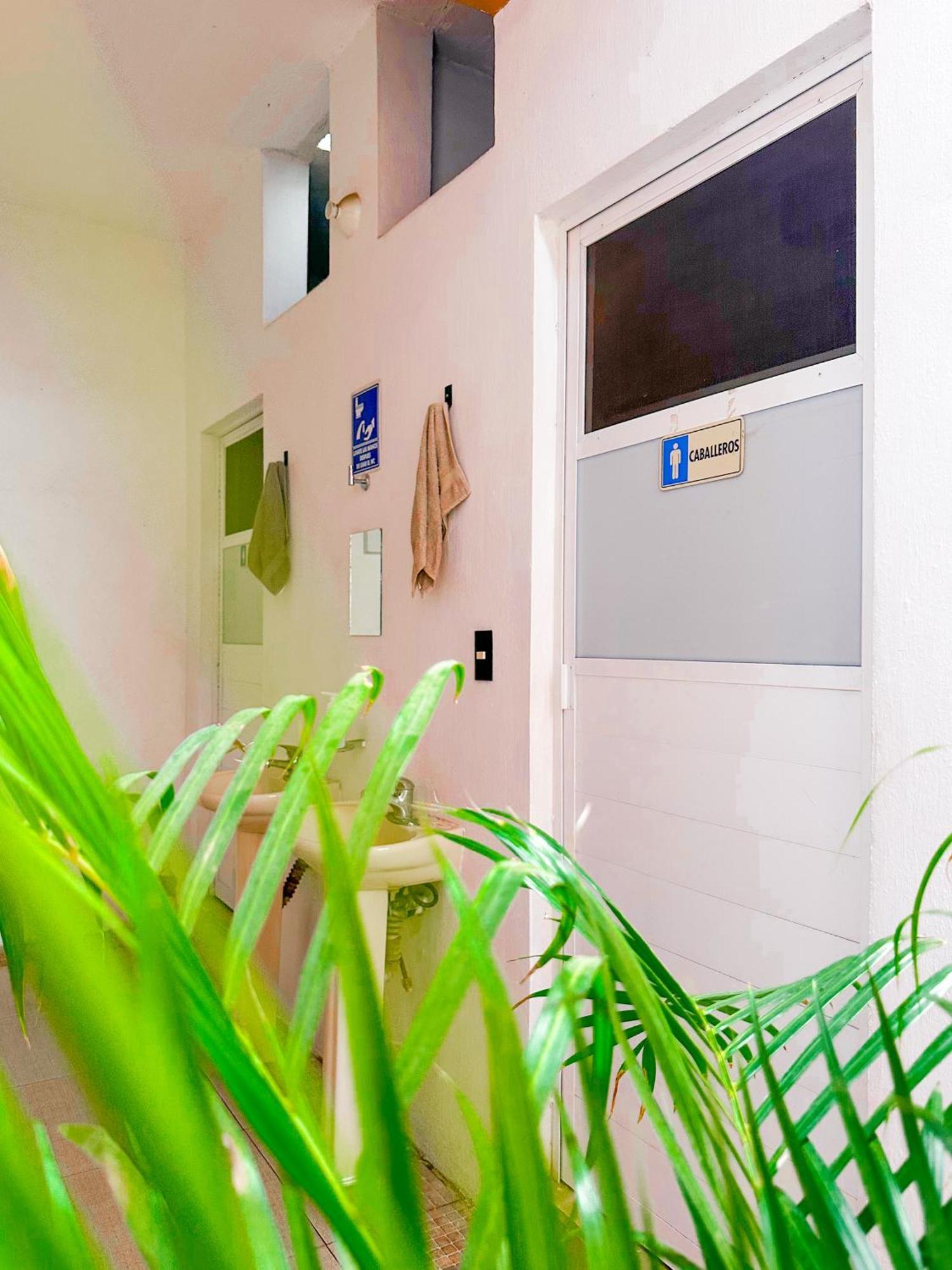 Habitacionez Hvuz オアハカ州 エクステリア 写真