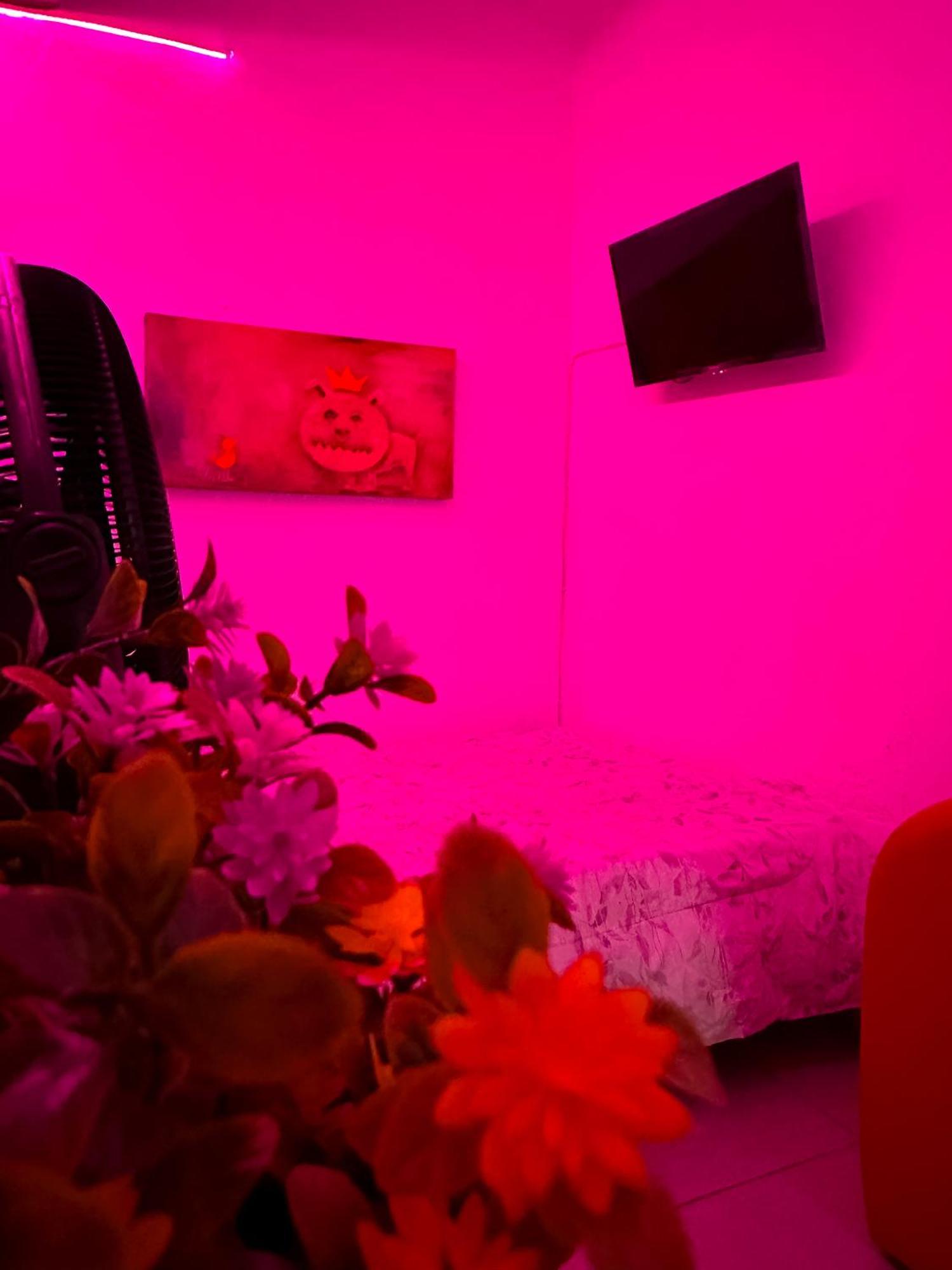 Habitacionez Hvuz オアハカ州 エクステリア 写真